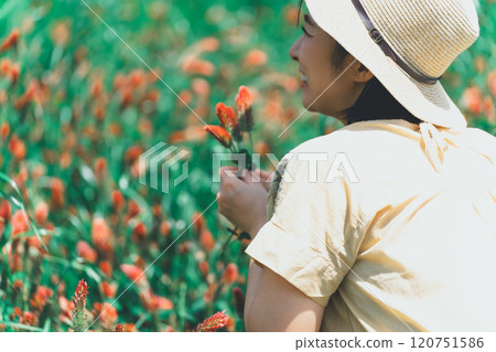 草莓蠟燭採花 120751586