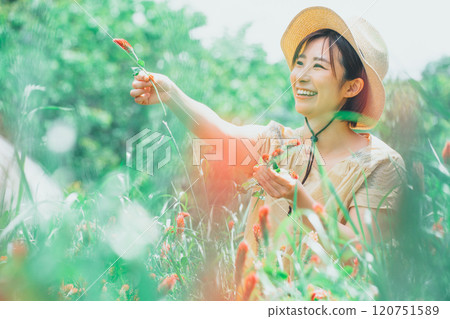 Strawberry candle flower picking Strawberry candle flower picking 120751589