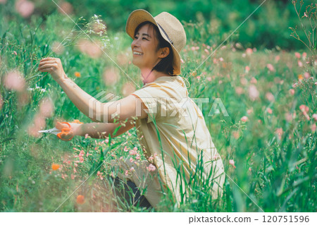 在花卉農場採摘鮮花 在花卉農場採摘鮮花 120751596