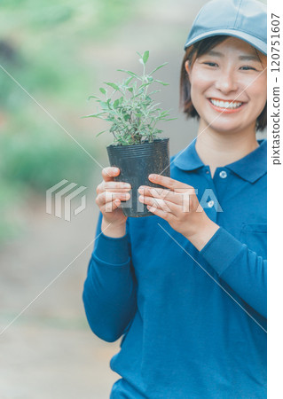 A female flower farmer holding flower seedlings 120751607