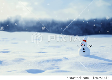 雪地裡的雪人 | 冬季傳統 | 雪地裡的可愛雪人 120751612