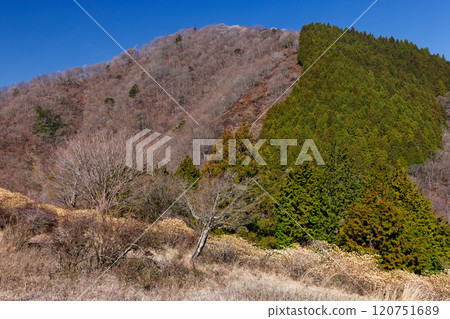 西丹澤/節權現山、三俁社區 120751689