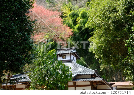 Kannonji Temple surrounded by greenery [Tsukui, Sagamihara City, April] 120751714