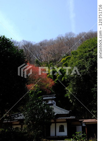 Kannonji Temple surrounded by greenery [Tsukui, Sagamihara City, April] 120751716