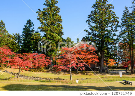 毛越寺的秋天,岩手縣紅楓樹旁的流水 毛越寺的秋天,岩手縣紅楓樹旁的流水 120751749