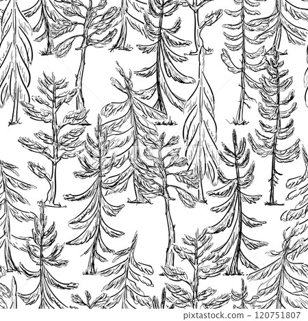 A Seamless Pattern featuring outline sketch spruce and pine Trees, Black and White Forest Vector illustration 120751807