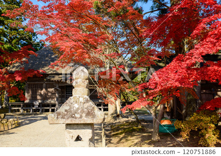 Autumn at Motsuji Temple: Jyogyodo Hall surrounded by red maple leaves, Iwate Prefecture 120751886