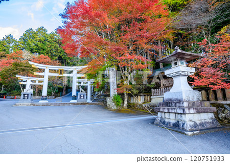 Autumn at Mitsumine Shrine, Mitsutorii Gate, Chichibu City, Saitama Prefecture 120751933