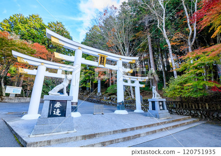 Autumn at Mitsumine Shrine, Mitsutorii Gate, Chichibu City, Saitama Prefecture Autumn at Mitsumine Shrine, Mitsutorii Gate, Chichibu City, Saitama Prefecture 120751935