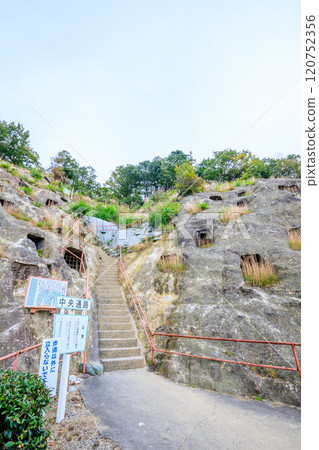 Yoshimi Hyakuana in Autumn, Yoshimi Town, Saitama Prefecture 120752356