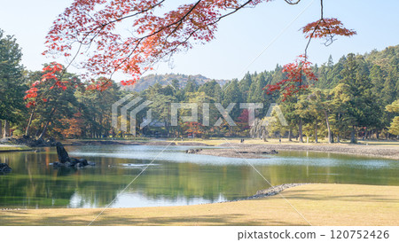 Autumn at Motsuji Temple Pure Land Garden, Oizumigaike Pond, Iwate Prefecture 120752426