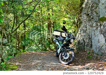 森林公路旅遊 120752429