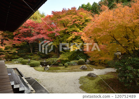 Autumn at the Imperial Temple of Sennyuji: The colorful gardens of the Imperial Palace (Higashiyama Ward, Kyoto City) 120752489
