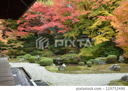 Autumn at the Imperial Temple of Sennyuji: The colorful gardens of the Imperial Palace (Higashiyama Ward, Kyoto City) 120752490