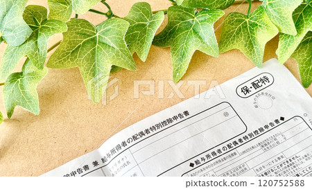 Spouse special deduction application form and ivy_overview Spouse special deduction application form and ivy_overview 120752588