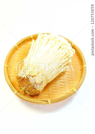 金針菇 金針菇 滑菇 虎耳草菇 金針菇 金針菇 滑菇 虎耳草菇 120753059