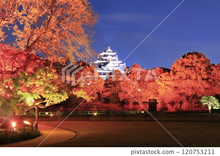 [Okayama Prefecture] Autumn Fantasy Garden (Illumination) Korakuen and Okayama Castle (After Reiwa Renovation) 120753211