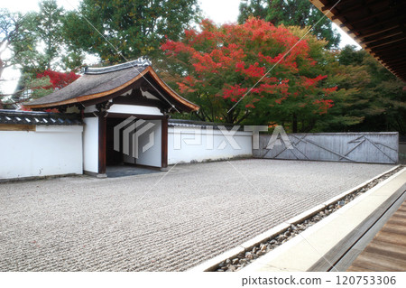 京都龍吟南的秋天 120753306
