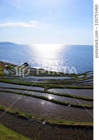 石川縣輪島市目千枚田 120753460