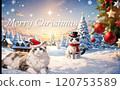 Cute Ragdoll kitten celebrating Christmas Cute Ragdoll kitten celebrating Christmas 120753589