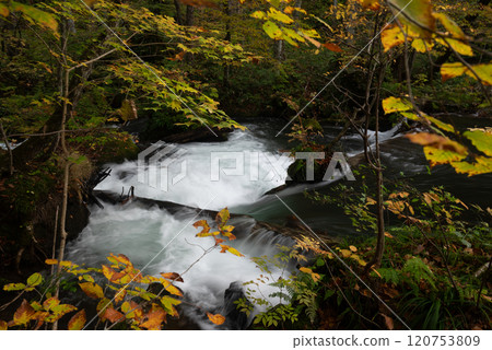 秋季奧入瀨溪流 - 雲井瀑布下游 120753809