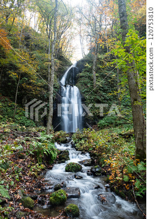 秋天的奧入瀨溪流~雲井瀑布 秋天的奧入瀨溪流~雲井瀑布 120753810