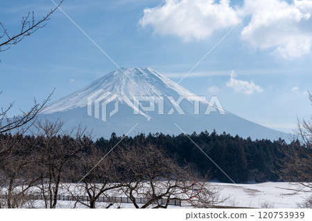 從Asagirikogen看冬天的富士山 120753939