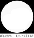 Simple circular icon 120754118