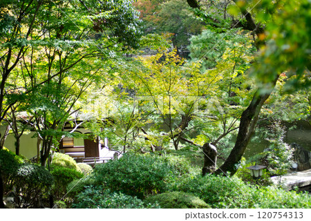 Garden in silence Garden in silence 120754313