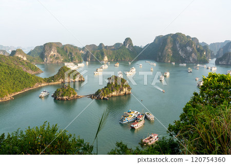 Ships anchored in Halong Bay, Vietnam 120754360