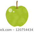 Green apple front illustration 1 120754434