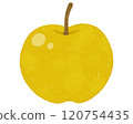 Japanese pear front illustration 1 120754435