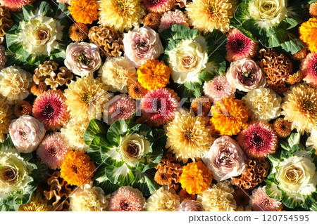 花水 花水 120754595