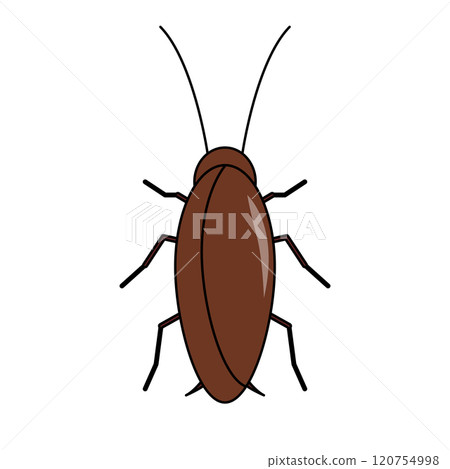 Cockroach icon 120754998
