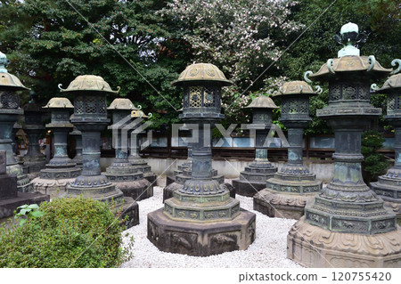 Copper lantern of Ueno Toshogu Shrine 120755420
