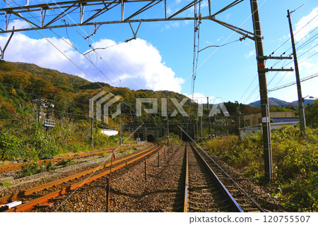 Autumn leaves on the tracks at Shin-Hikida Station 120755507