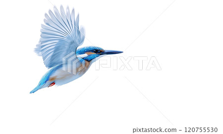 A vibrant kingfisher glides gracefully above the shimmering surface of a river at dusk, its wings catching the light, showcasing stunning shades of blue and orange. 120755530