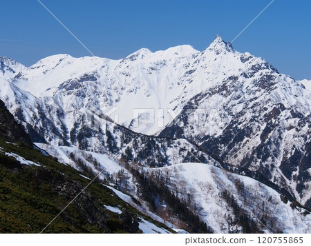 Snow-covered Mt. Yari seen from Mt. Tsubaki in the Northern Alps 120755865