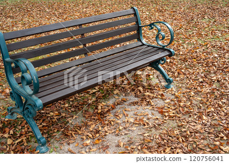Fallen leaves on the ground and a bench Fallen leaves on the ground and a bench 120756041