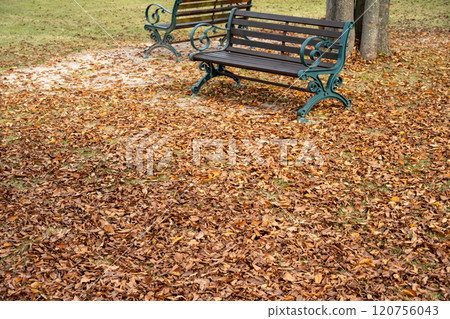 Fallen leaves and a bench Fallen leaves and a bench 120756043