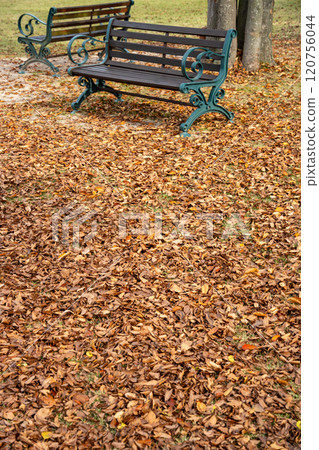 Fallen leaves on the ground and a bench 120756044
