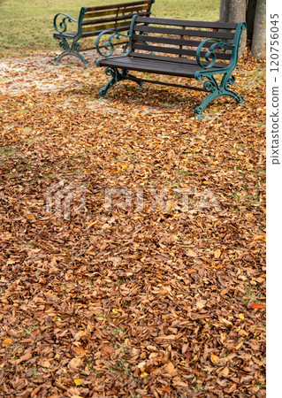 Fallen leaves on the ground and a bench 120756045