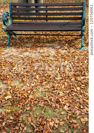 地上的落葉和長凳 地上的落葉和長凳 120756061