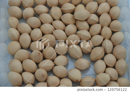 Ginnan Ginkgo biloba Ginnan Ginkgo biloba 120756122