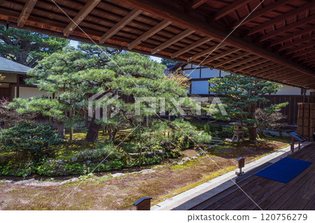 金澤聖光閣馬尾花園 120756279