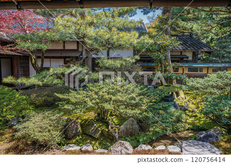 金澤聖光閣萬年青之里花園 金澤聖光閣萬年青之里花園 120756414