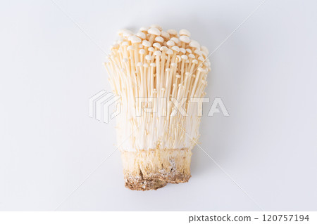 Enoki 120757194