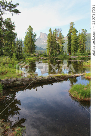 High mountain peak Zvezdnyy and cedar trees reflected in pond. mountains routes 120757555