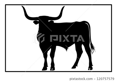 Texas Longhorn cattle icon, silhouette of a longhorn cattle 120757579