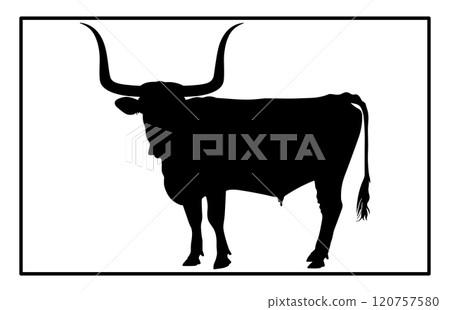 Texas Longhorn cattle icon, silhouette of a longhorn cattle 120757580